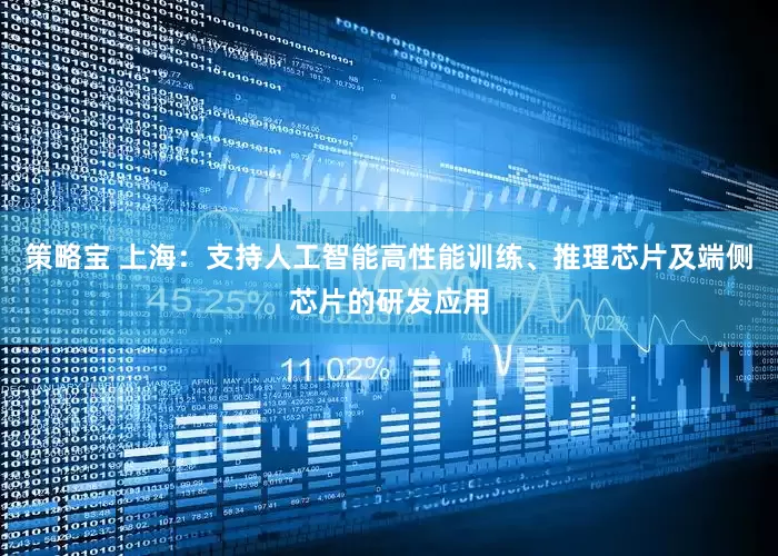 策略宝 上海：支持人工智能高性能训练、推理芯片及端侧芯片的研发应用