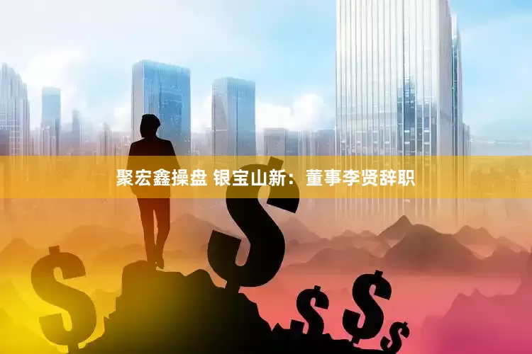 聚宏鑫操盘 银宝山新：董事李贤辞职