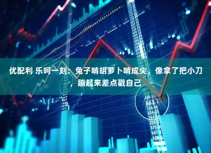 优配利 乐呵一刻：兔子啃胡萝卜啃成尖，像拿了把小刀，蹦起来差点戳自己